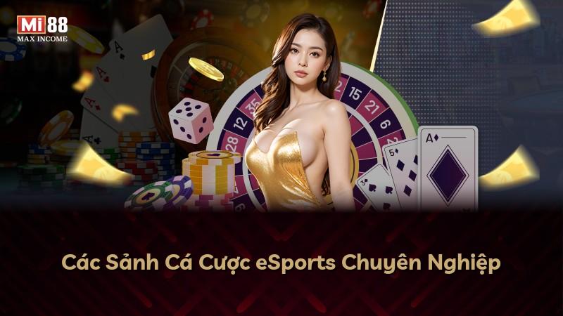 Các Sảnh Cá Cược eSports Chuyên Nghiệp