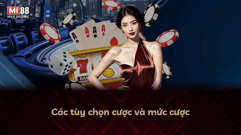 Các tùy chọn cược và mức cược