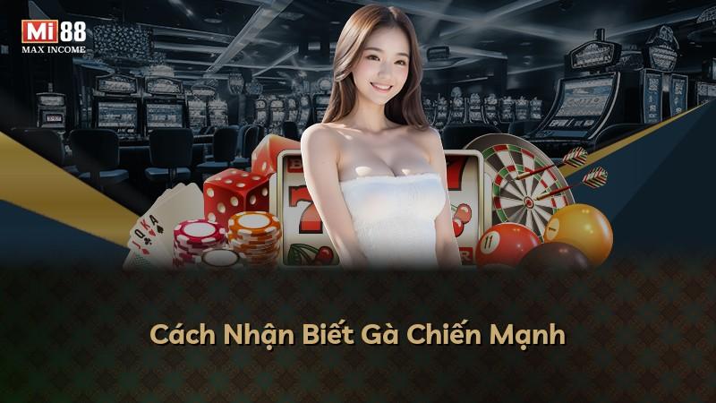 Cách Nhận Biết Gà Chiến Mạnh