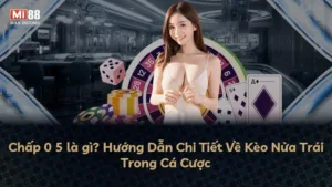 Chấp 0 5 là gì? Hướng Dẫn Chi Tiết Về Kèo Nửa Trái Trong Cá Cược